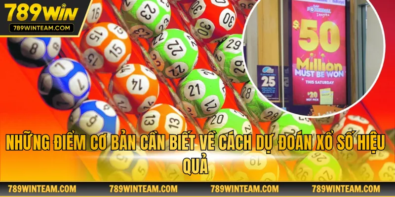 Những điểm cơ bản cần biết về cách dự đoán xổ số hiệu quả