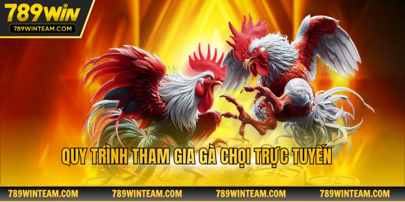 Quy trình tham gia gà chọi trực tuyến